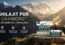 Shilajit Pur Granions® : Le Trésor de l&rsquo;Himalaya pour l&rsquo;Énergie et la Vitalité Cellulaire